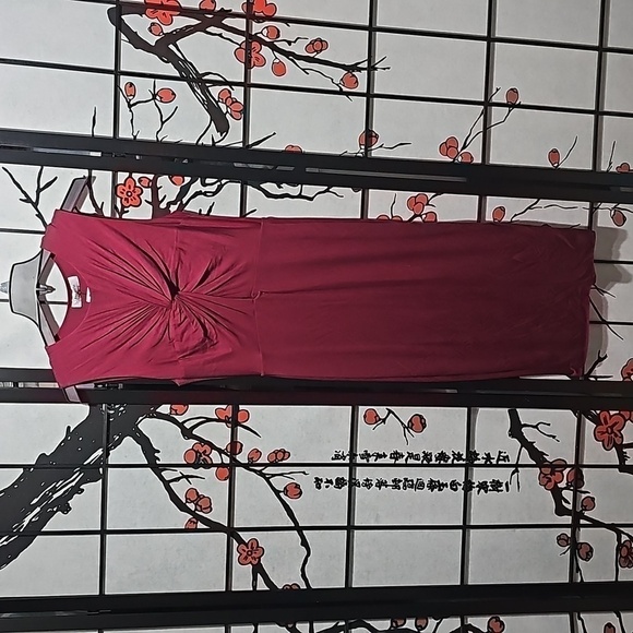 Bailey/44 Anthropologie Elegant Sleeveless Dress Wine Size Medium NWT - Picture 2 of 7